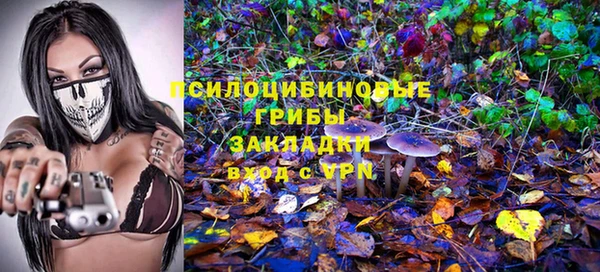 2c-b Баксан