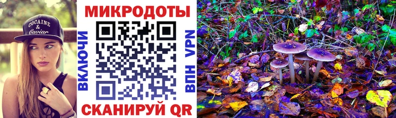 Купить  Кондопога  Галлюциногенные грибы мухоморы 